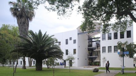 Instituto Tecnológico y de Estudios Superiores de Occidente (ITESO)