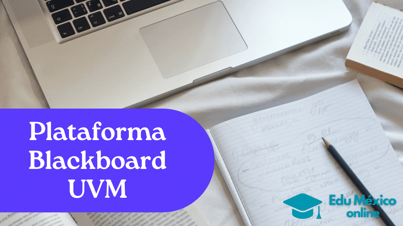 Plataforma Blackboard UVM
